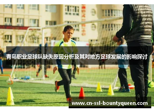 青岛职业足球队缺失原因分析及其对地方足球发展的影响探讨