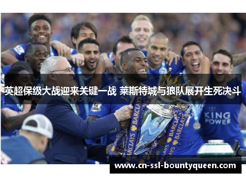 英超保级大战迎来关键一战 莱斯特城与狼队展开生死决斗 英超保级大战迎来关键一战 莱斯特城与狼队展开生死决斗