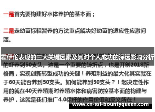 霍伊伦表现的三大关键因素及其对个人成功的深远影响分析