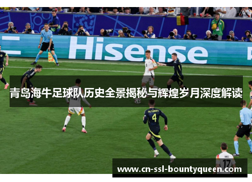 青岛海牛足球队历史全景揭秘与辉煌岁月深度解读