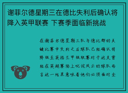 谢菲尔德星期三在德比失利后确认将降入英甲联赛 下赛季面临新挑战